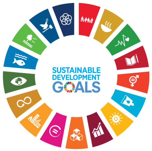 UN-goals-logo (2)